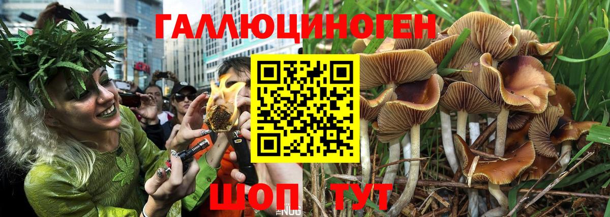 Псилоцибиновые грибы Magic Shrooms  Вход с VPN  Галлюциногенные грибы Psilocybine cubensis  Лосино-Петровский 